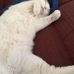 Dave Fredrick - Facebook