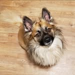 Dave Fredriksen - @9defredriksen - Instagram