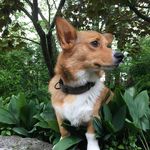 Dave Freimuth - @freimuthdave - Instagram