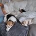 Dave Frost - Facebook