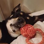 Dave Fry - @peterpimms - Instagram