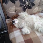 Dave Fry - @dave.fry128 - Instagram