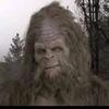 Dave Garner6635 - @davegarner7 - TikTok