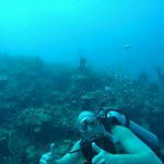 Dave Garner - @garner.dave - Instagram