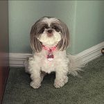 Dave Garner - @magic55 - Instagram