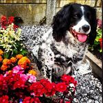 Dave Garner - @daveygarner51 - Instagram
