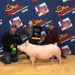 Dave Garza - @dave.garza.37 - Instagram