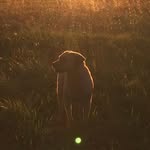 Dave Gauthier - @dave.gauthier.140 - Instagram