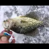 davegentry455 - @davegentry455 - TikTok