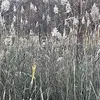Dave Gerard - @dave.gerard3 - TikTok