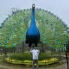 davegerarcasrogad - @davegerarcasrogad - TikTok