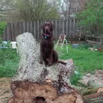 Dave Gerber - @plotthound341 - Instagram
