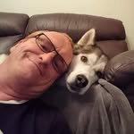 Dave Gerber - @gerber.dave - Instagram