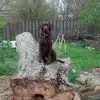 Dave Gerber - @dave.gerber1 - TikTok