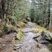 Dave Gerdes - Facebook