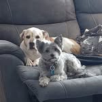 Dave Gerken - @davegerkenn - Instagram