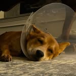 DaveG - @davegershfield - Instagram