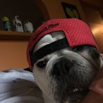Dave Gillard - @dillree207 - Instagram