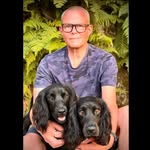 Dave Gilleran - @davegilleran7 - Instagram
