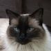 Dave Gillery - Facebook