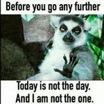 Dave Gilman - @lionwap - Instagram