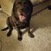 Dave Glazer - Facebook
