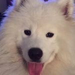 Dave Glenn - @davefglenn - Instagram