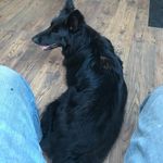 Dave Glover - @dave.glover.9231 - Instagram