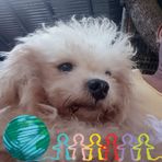 Dave Goes - Facebook