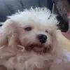 davegoes6 - @davegoes5 - TikTok