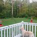 Dave Goetsch - Facebook