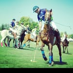Dave Golding - @goldnmoney - Instagram