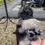 Dave Golding - @golding959 - Instagram