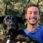 Dave Goldman - @davemgoldman - Instagram