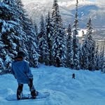 Dave Goldman - @davejgoldman - Instagram