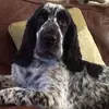 Dave Good - @dave.good7 - TikTok