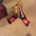 Dave Goodale - @daveyfootball1 - Instagram