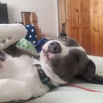Dave Goodall - @goodall2332 - Instagram