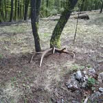 dave goodrich - @davegoodrich_htna6pt - Instagram