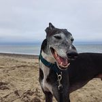 David Gorham - @david.gorham1 - Instagram