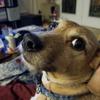 David Gosnell - @engineeringdavid - TikTok