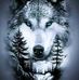 Dave Goss - Facebook