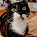 Dave Gato - Facebook
