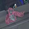GottaBeDave - @gottabedave - TikTok