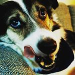 Dave - @dave.goward - Instagram