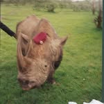 Dave Gowans - @dgowans9 - Instagram