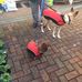 Dave Gowen - Facebook