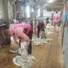Dave Grady - @dave.grady4 - TikTok