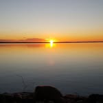 Dave Grady - @davegrady55 - Instagram