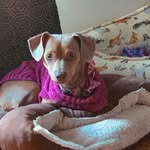Ellie Mae Grady - @davegrady183 - Instagram